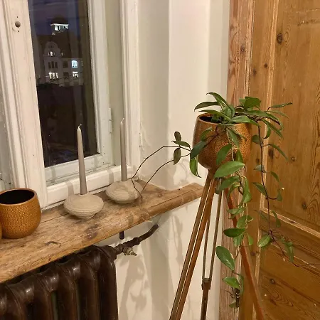 Appartamento Cozy 1 Bedroom In The Center Of Riga